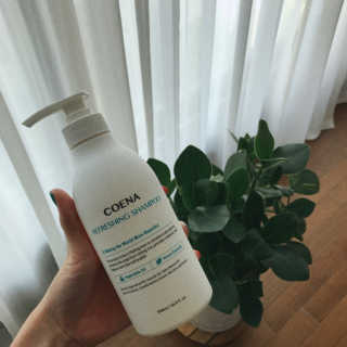 코에나샴푸 500ml — 4.5점을 준 리뷰어가 2019년 8월 올린 사용 사진