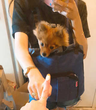 은선이짱님이 올린 리뷰 사진 4