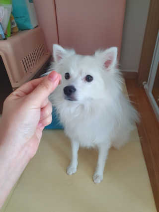 앙꼬빠진찐빵님이 올린 리뷰 사진 3