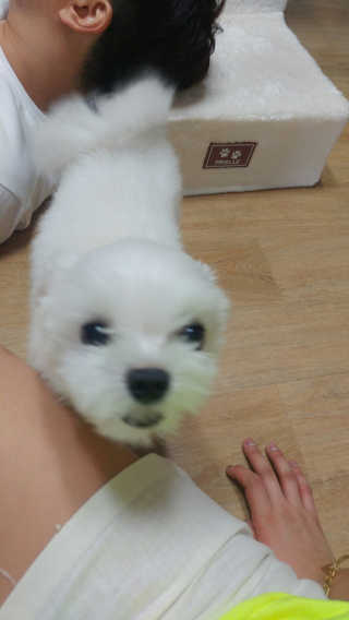 MinSeoJo님이 올린 리뷰 사진 3