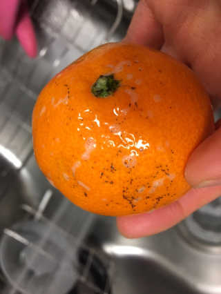 오리부인님이 올린 리뷰 사진 3