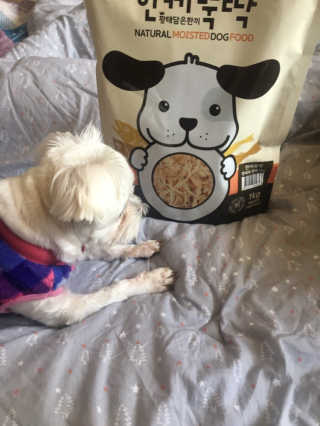 [펫토리아] 맛도 영양도 BEST 한끼뚝딱 강아지 사료 — 4점을 준 리뷰어가 2019년 4월 올린 사용 사진