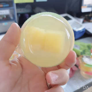 데르뜨 떠먹는 과일 3종, 짜먹는 과일 2종 총 10개 체험 — 5점을 준 리뷰어가 2020년 3월 올린 사용 사진