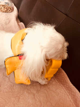 권신혜님이 올린 리뷰 사진 3
