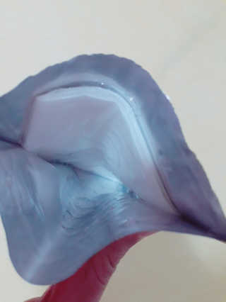 복복이님이 올린 리뷰 사진 2