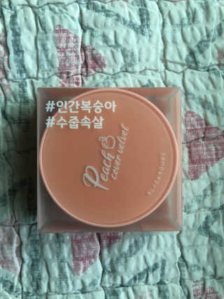 [블랙루즈] 피치 커버 벨벳 쿠션 2종 중 택1 — 4점을 준 리뷰어가 2019년 9월 올린 사용 사진