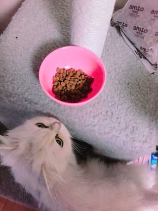 용용이님이 올린 리뷰 사진 1