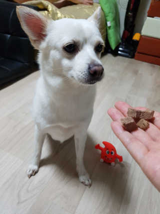 전지현님이 올린 리뷰 사진 1