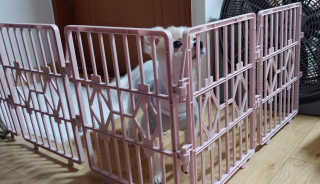 비커잠해피님이 올린 리뷰 사진 3