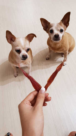 유진오님이 올린 리뷰 사진 4