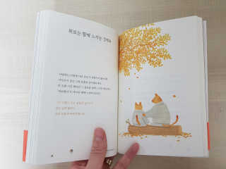 준이마미님이 올린 리뷰 사진 3