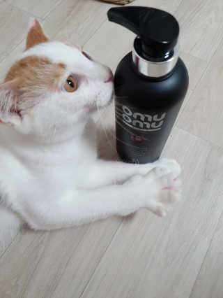효성님이 올린 리뷰 사진 1
