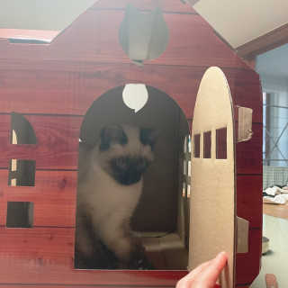 SIENA님이 올린 리뷰 사진 3