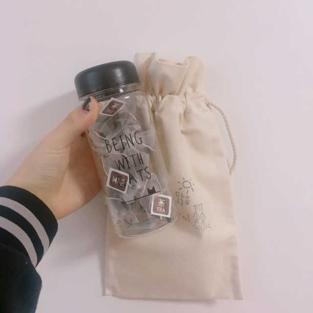 신묘한 맑음, 남쪽고양이 차차 리뷰 사진