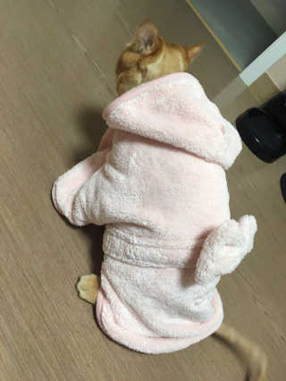 뽕닝님이 올린 리뷰 사진 1