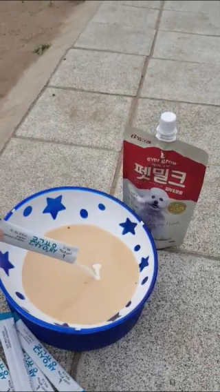 [빙그레] 에버그로 생유산균 1봉（10포입）+펫밀크2팩 — 5점을 준 리뷰어가 2019년 5월 올린 사용 사진