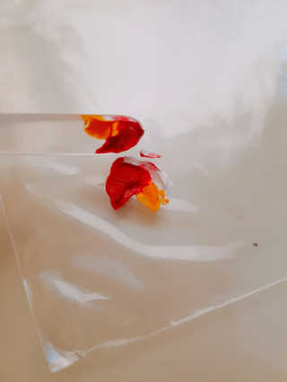 ㅇㄷㅇ!님이 올린 리뷰 사진 3