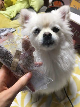 용수정님이 올린 리뷰 사진 1