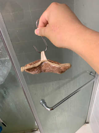 말린망고님이 올린 리뷰 사진 3