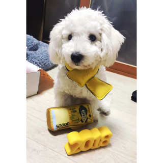 seohyuneee님이 올린 리뷰 사진 1