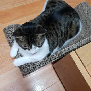 미애님이 올린 리뷰 사진 1