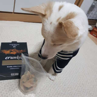 모델윤지님이 올린 리뷰 사진 1