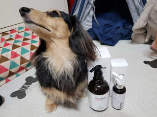 닥터모두 홈스파 스칼프 샴푸 300ml + 헤어토닉 — 5점을 준 리뷰어가 2019년 2월 올린 사용 사진