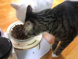 오홍그님이 올린 리뷰 사진 1