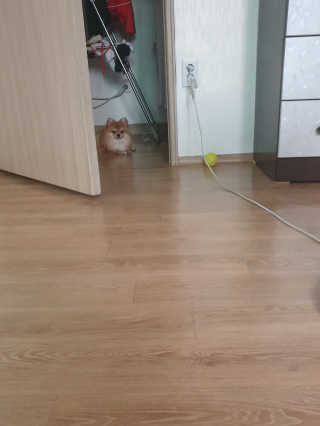 tmvksl5님이 올린 리뷰 사진 3