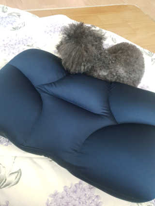 까사앤지오 요술베개 스페셜 에디션 — 5점을 준 리뷰어가 2020년 2월 올린 사용 사진