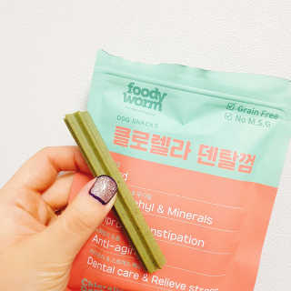 푸디웜 주식회사 [푸디웜] 강아지 저알러지 수제간식 3종세트 — 5점을 준 리뷰어가 2018년 12월 올린 사용 사진