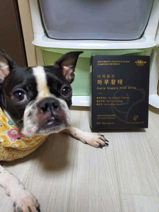 펫테라피 플레이트 야채품은 하루황태 — 4점을 준 리뷰어가 2019년 12월 올린 사용 사진