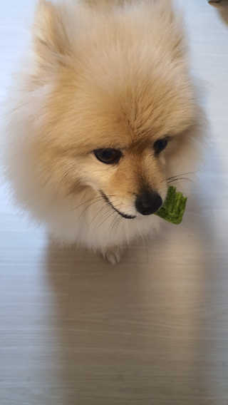 공삼님이 올린 리뷰 사진 1