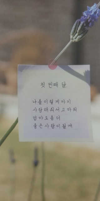 우성이맘님이 올린 리뷰 사진 3