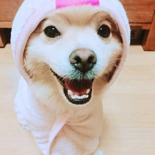 재이류님이 올린 리뷰 사진 3