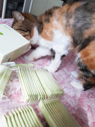 엘카몬님이 올린 리뷰 사진 3