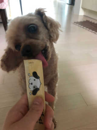 [펫토리아]짜먹는 한입뚝딱 강아지.고양이 마약간식 — 4점을 준 리뷰어가 2019년 7월 올린 사용 사진