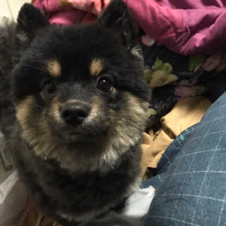 정아님이 올린 리뷰 사진 1