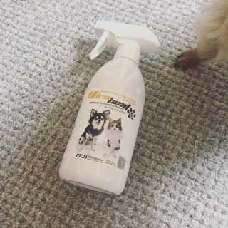 이지수님이 올린 리뷰 사진 3