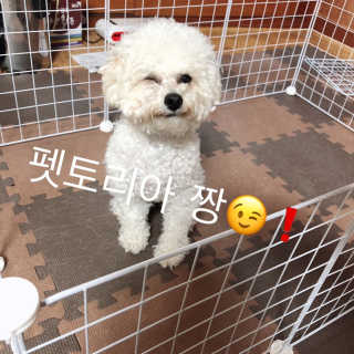 팡이야사랑해님이 올린 리뷰 사진 2