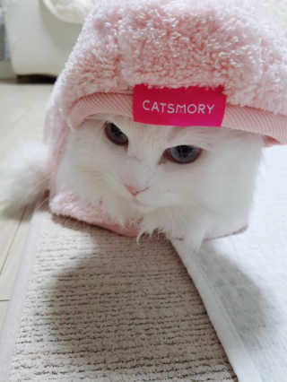 mintblue님이 올린 리뷰 사진 3
