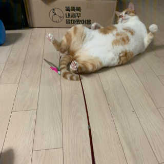 ollie님이 올린 리뷰 사진 4