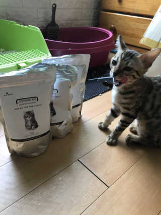 우기님이 올린 리뷰 사진 1