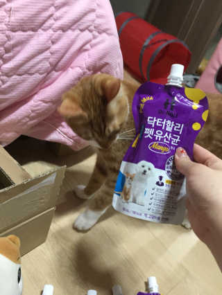 밍밍이이잉님이 올린 리뷰 사진 4