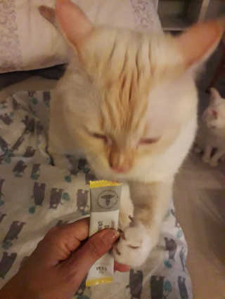 보라보라님이 올린 리뷰 사진 3