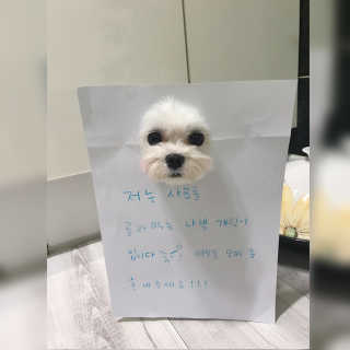 만듀모찌님이 올린 리뷰 사진 2