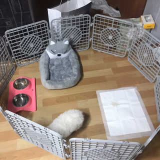 ziolu님이 올린 리뷰 사진 2