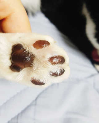 밈님이 올린 리뷰 사진 1
