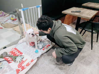 변혜림님이 올린 리뷰 사진 2