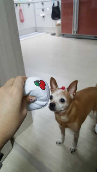 유진오님이 올린 리뷰 사진 1